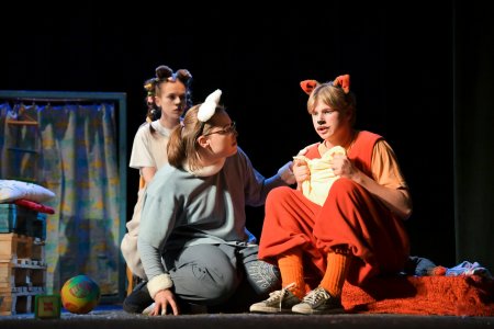 На сцені Закарпатського театру ляльок "прем’єрно" з’явилися коти-біженці 